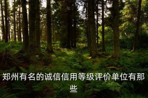 郑州有名的诚信信用等级评价单位有那些