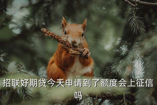 好期贷上征信吗，招联好期贷今天申请到了额度会上征信吗
