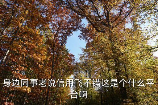 身边同事老说信用飞不错这是个什么平台啊