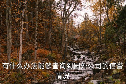 怎么查询外国公司信用，有什么办法能够查询到国外公司的信誉情况