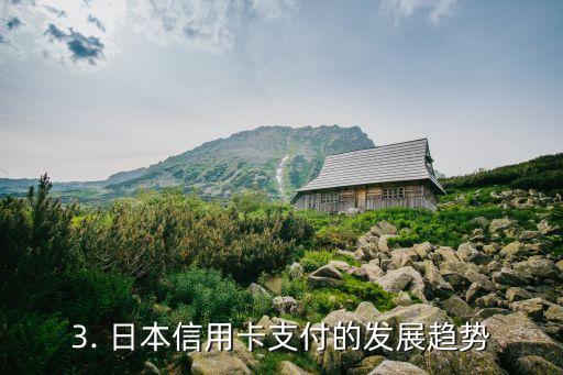 日本人信用卡支付，日本信用卡支付的使用情况