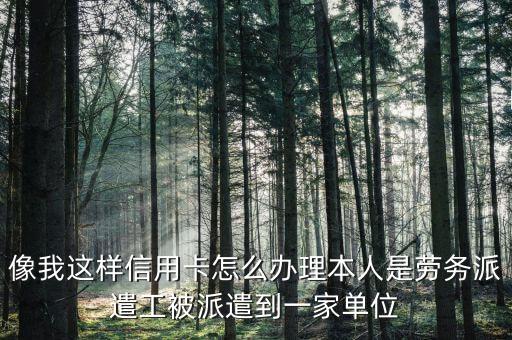 劳务公司如何申请信用卡，像我这样信用卡怎么办理本人是劳务派遣工被派遣到一家单位