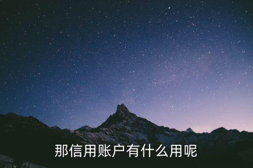 那信用账户有什么用呢