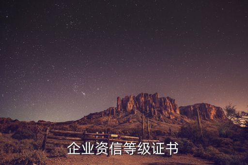企业资信等级证书
