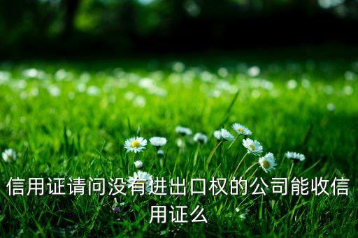 随便哪个公司都能信用证吗，注册有限公司 可以自己开信用证吗
