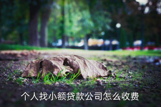 个人找小额贷款公司怎么收费