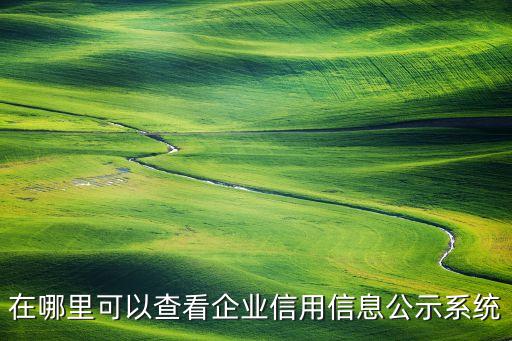 企业公告哪里看，公司的年报发放股利的公告等可以在哪里看到啊