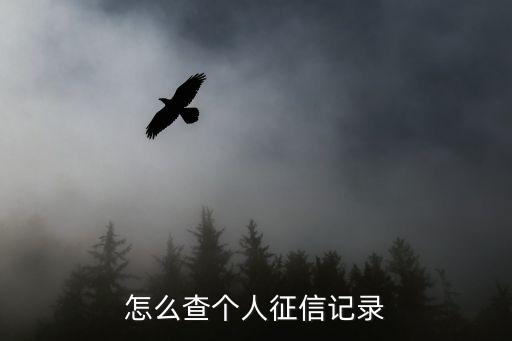 征信查询个人信用，个人征信怎么查