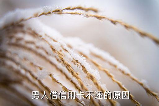 男人借信用卡不还，男子借了信用卡不归还