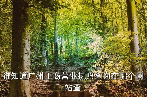 谁知道广州工商营业执照查询在哪个网站查