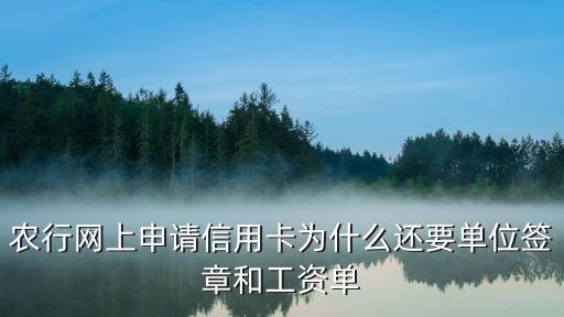 农行网上申请信用卡为什么还要单位签章和工资单