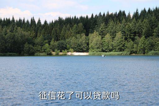个人征信花了还能贷款吗，征信花了还能贷到款吗谁能帮帮我