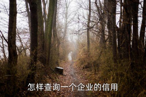怎样查询一个企业的信用