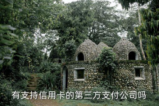 有支持信用卡的第三方支付公司吗