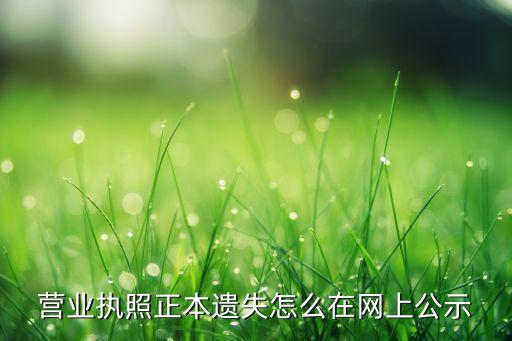 营业执照公示怎么弄，营业执照怎样公示