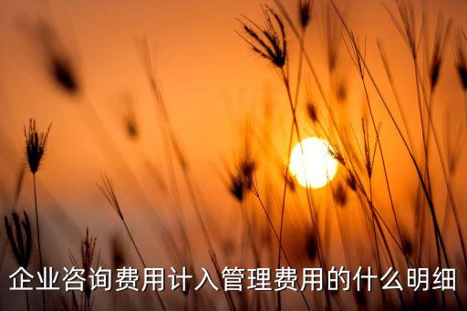 企业咨询费用计入管理费用的什么明细