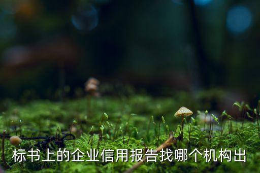 标书上的企业信用报告找哪个机构出