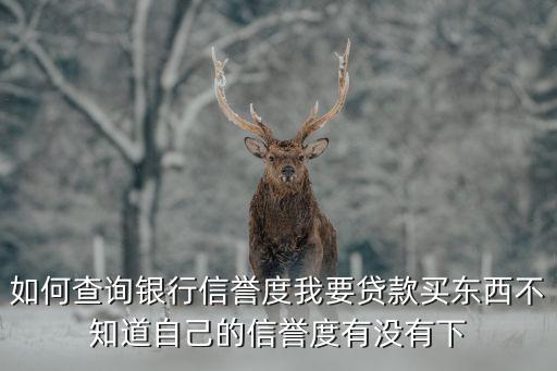 如何查询银行信誉度我要贷款买东西不知道自己的信誉度有没有下