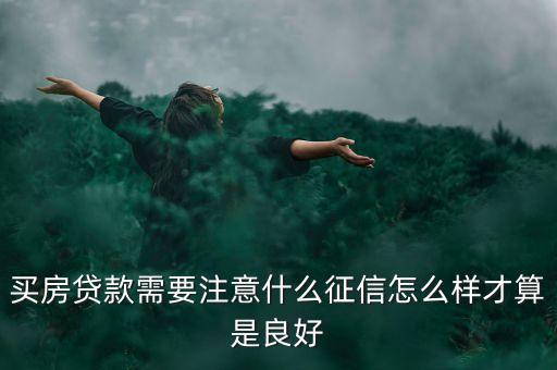 买房贷款需要注意什么征信怎么样才算是良好