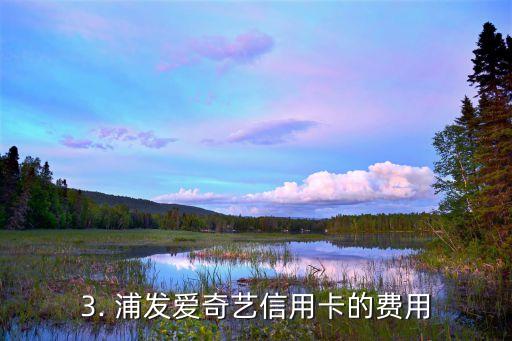 浦发爱奇艺信用卡，浦发银行联手爱奇艺推出信用卡