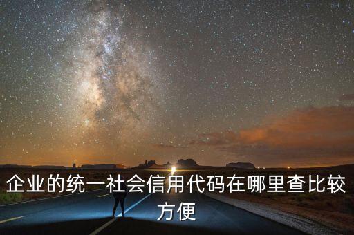 企业的统一社会信用代码在哪里查比较方便