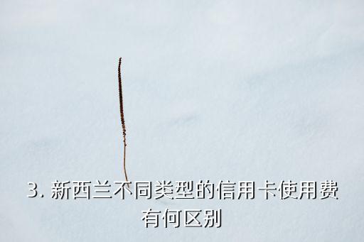 新西兰信用卡收费，新西兰银行将收取信用卡使用费