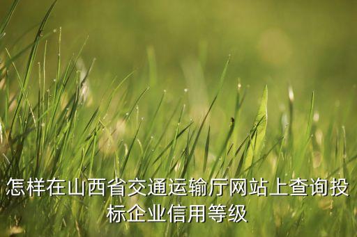 怎样在山西省交通运输厅网站上查询投标企业信用等级
