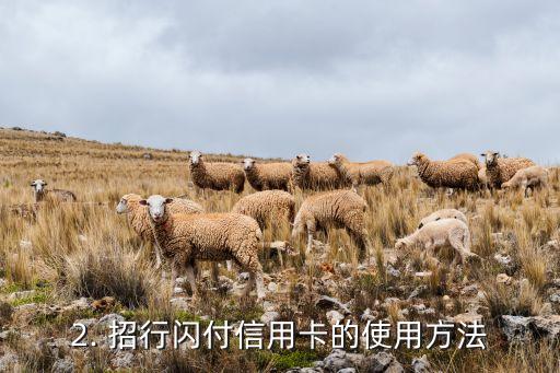 招行闪付信用卡，招行推出闪付信用卡服务