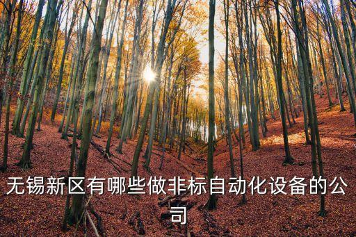 无锡新区有哪些做非标自动化设备的公司