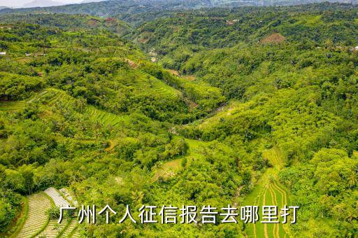 广州个人征信报告去哪里打