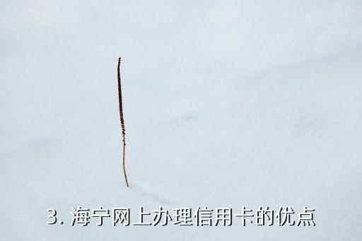 海宁网上办信用卡，海宁网上办理信用卡服务
