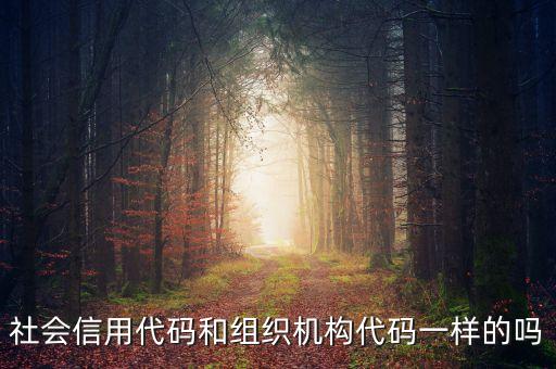 社会信用代码和组织机构代码一样的吗