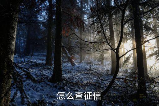 怎么查征信
