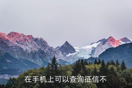 在手机上可以查询征信不