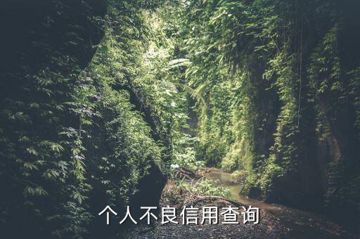 个人不良信用查询