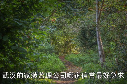 武汉的家装监理公司哪家信誉最好急求