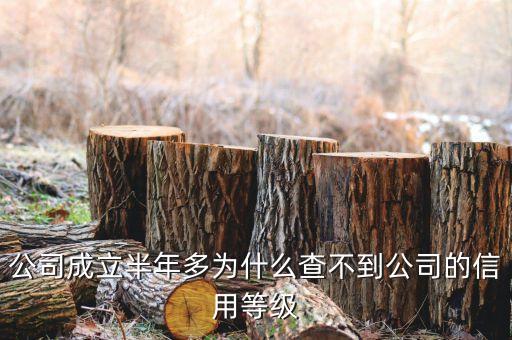 企业的资信等级怎么查不到了，公司成立几天了全国企业信用信息公示系统查询不到信息是什么原因