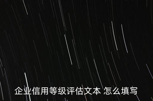 企业信用等级评估文本 怎么填写