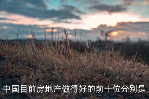 中国地产商前十强，中国十大地产排名
