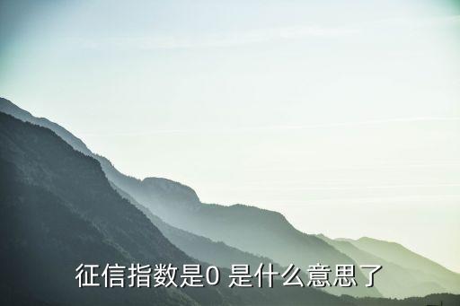 征信指数是0 是什么意思了