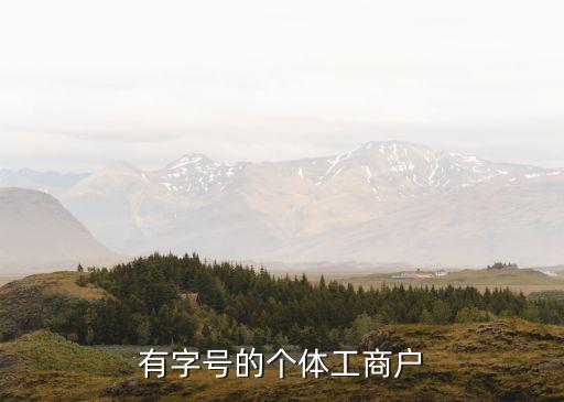 有字号的个体工商户