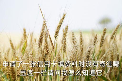 申请了一张信用卡填资料时没有寄往哪里这一栏请问我怎么知道它