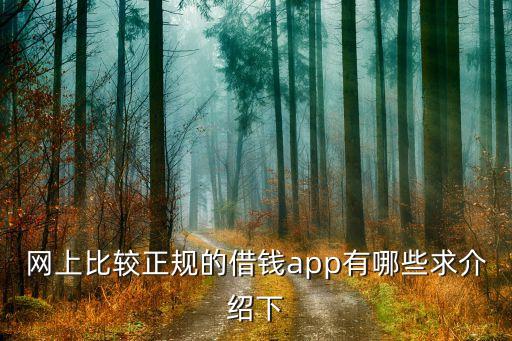 网上比较正规的借钱app有哪些求介绍下
