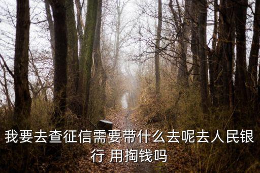 人民银行查征信报告要钱吗，中国人民银行征信报告要钱吗
