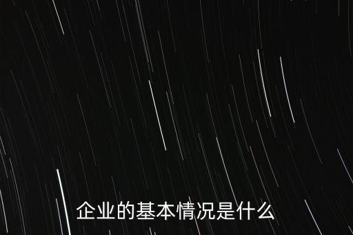 企业的基本情况是什么