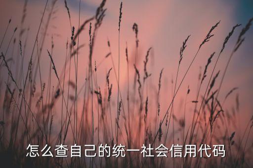怎么查自己的统一社会信用代码