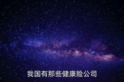 我国有那些健康险公司
