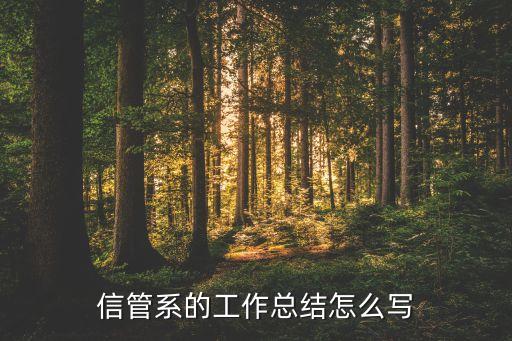 诚信体系工作总结怎么写，信管系的工作总结怎么写