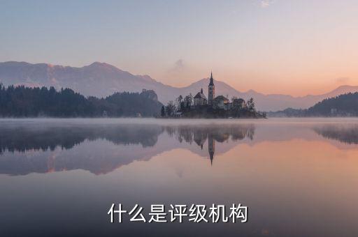 什么是债基信用评级公司，什么是评级机构