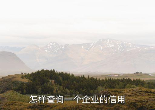 公司纳税信用怎么查询，企业征信从哪儿能查询